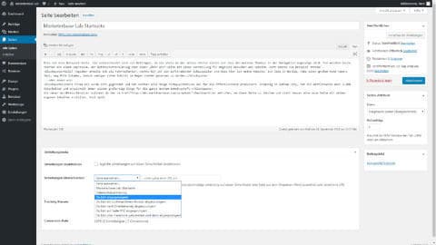 marketerbase-bounce-genie-screenshot-individuelle-umleitungen Vorschau